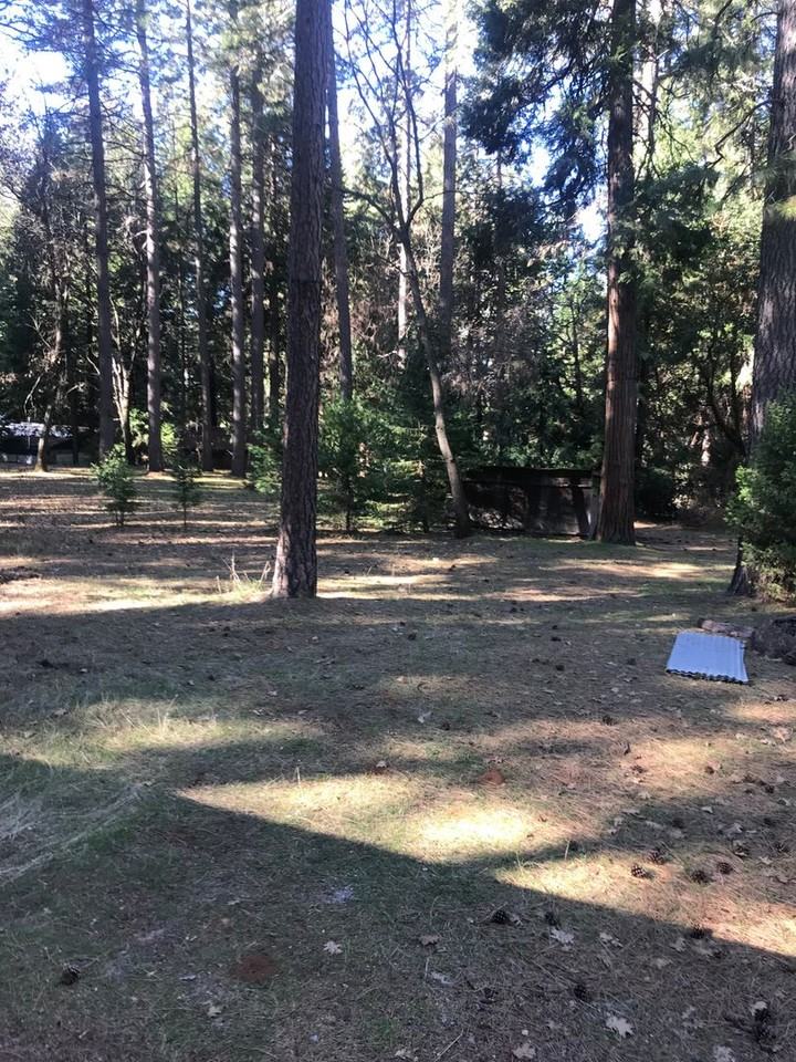 14567 Bobbie Ln - Photo 2 of 19