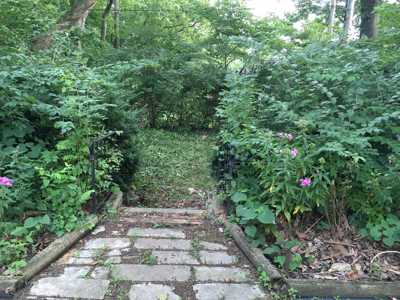 1119 Hillcrest Rd #NA - Photo 6 of 34