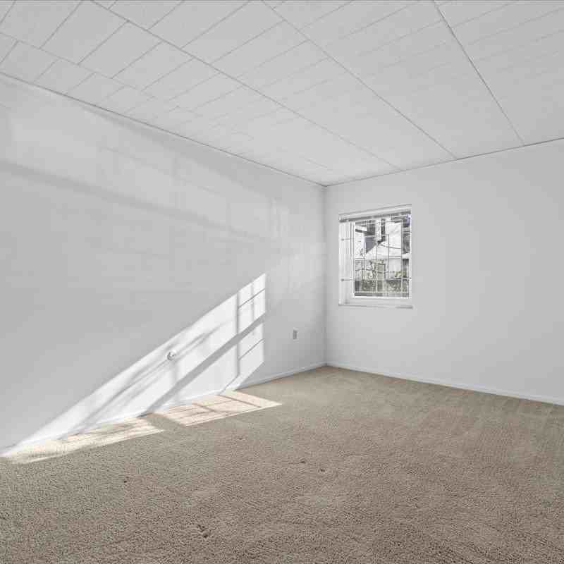 265 Shady Ave #13 - Photo 2 of 16