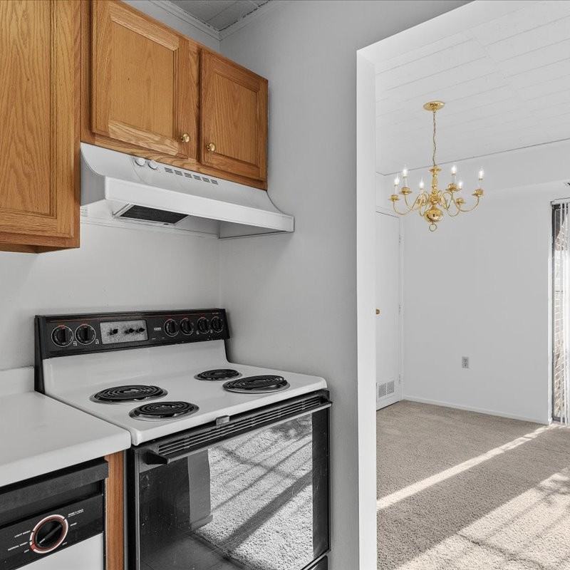 265 Shady Ave #13 - Photo 3 of 16
