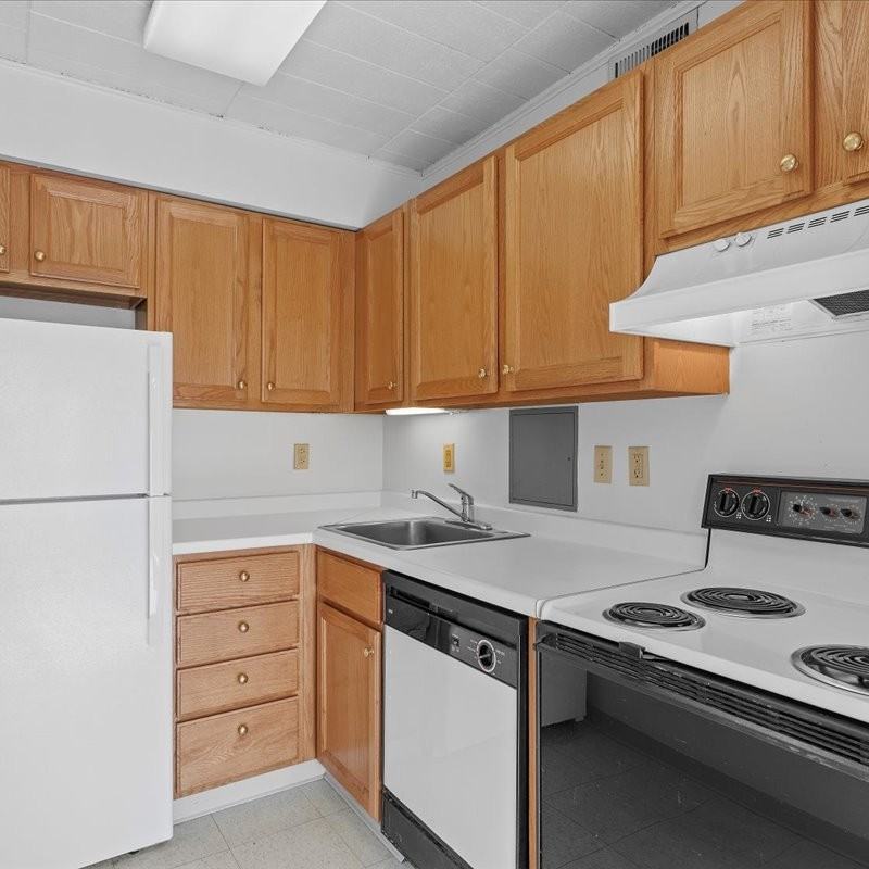 265 Shady Ave #13 - Photo 6 of 16