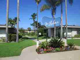 The Palms - Photo 1 of 1