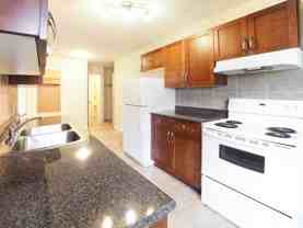 Elm Tree Place - Photo 1 of 1