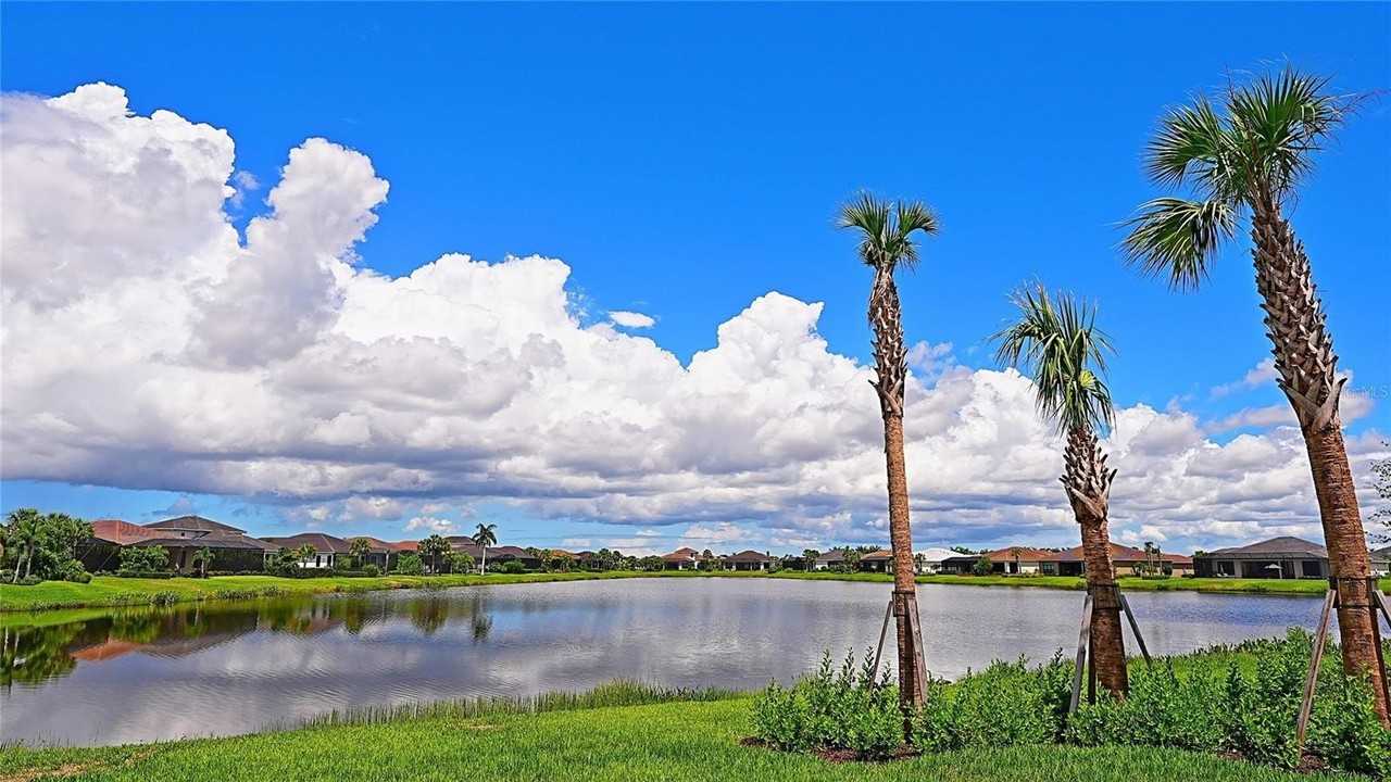 9124 Bernini Pl - Photo 4 of 38