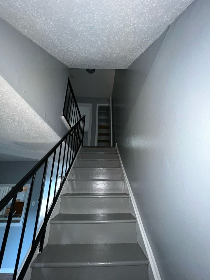 5217 Flowering Peach Dr - Photo 6 of 12