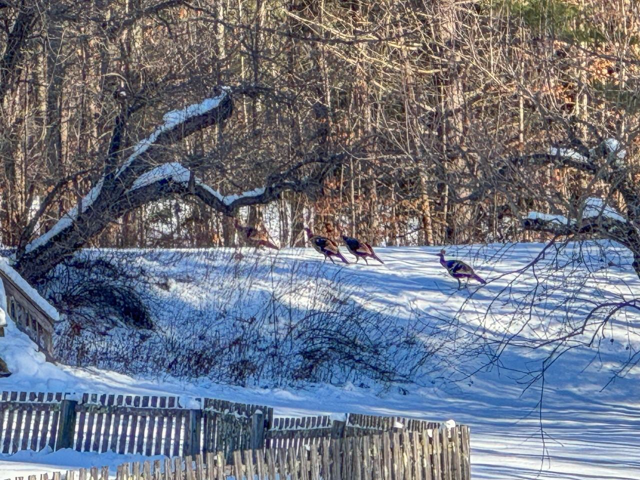 92 Potash Brook Rd - Photo 4 of 30