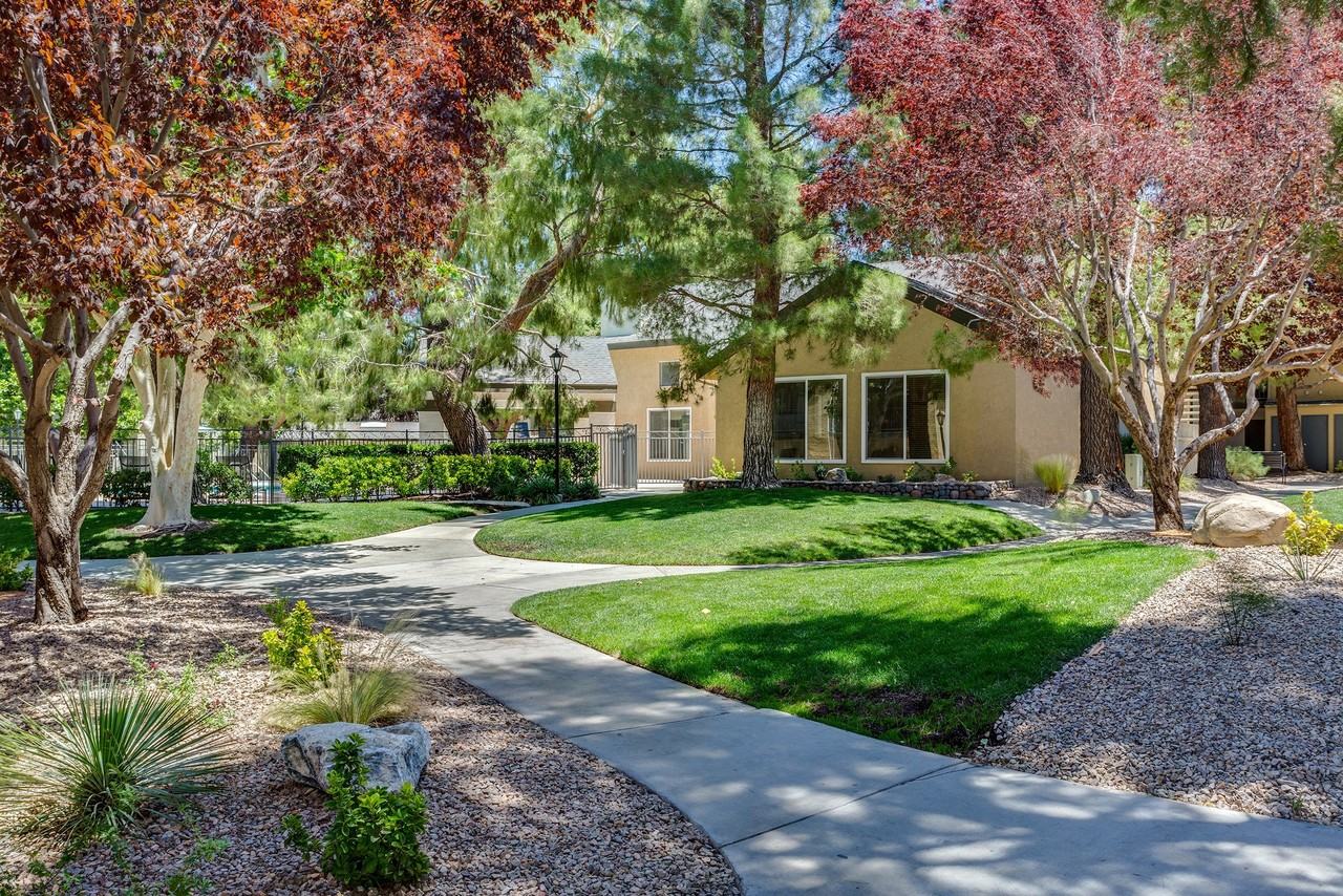 Mountain Vista - Photo 4 of 16