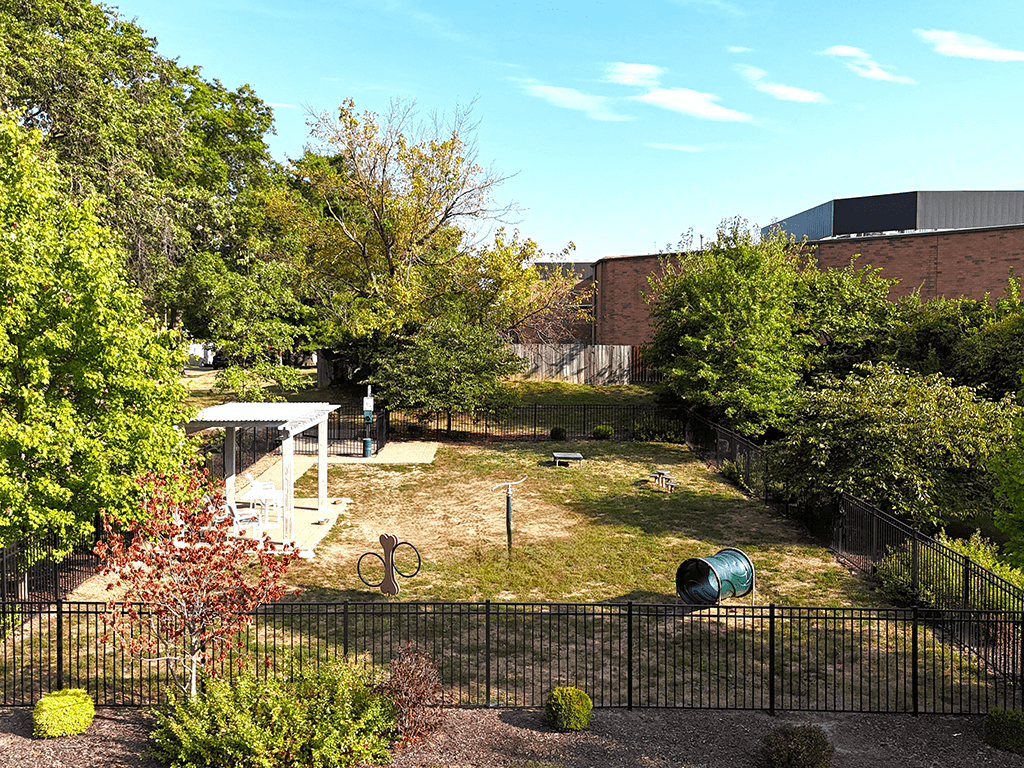 Vicino on the Lake - Photo 5 of 65