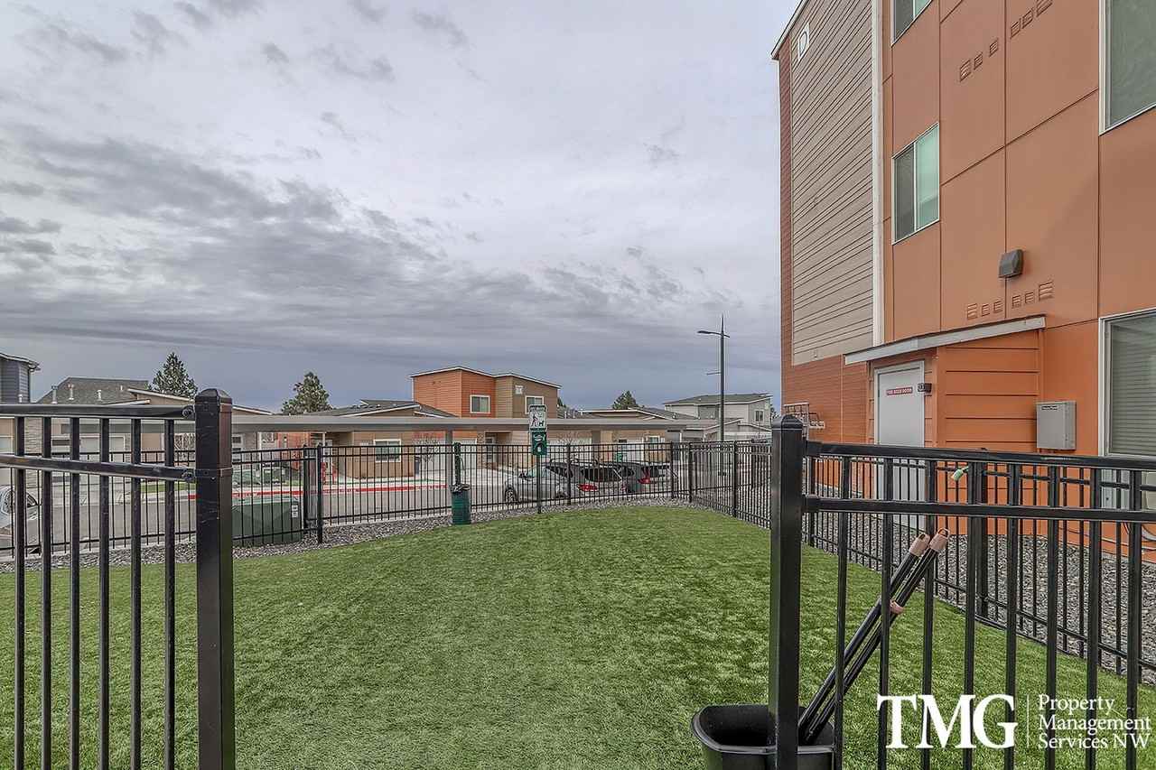 Park Avenue II at Hansen Park - Photo 7 of 50