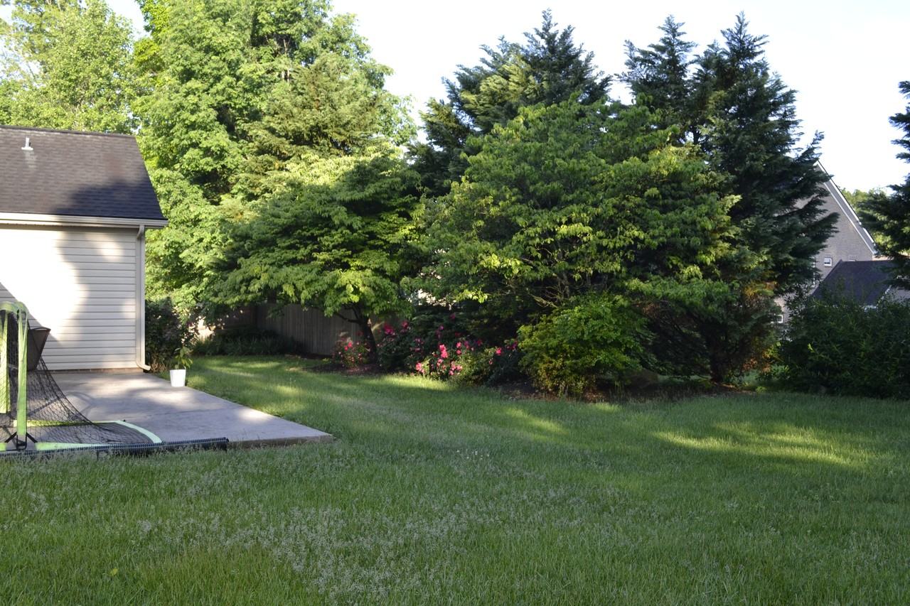 1601 Silver Oaks Ln #NA - Photo 3 of 16