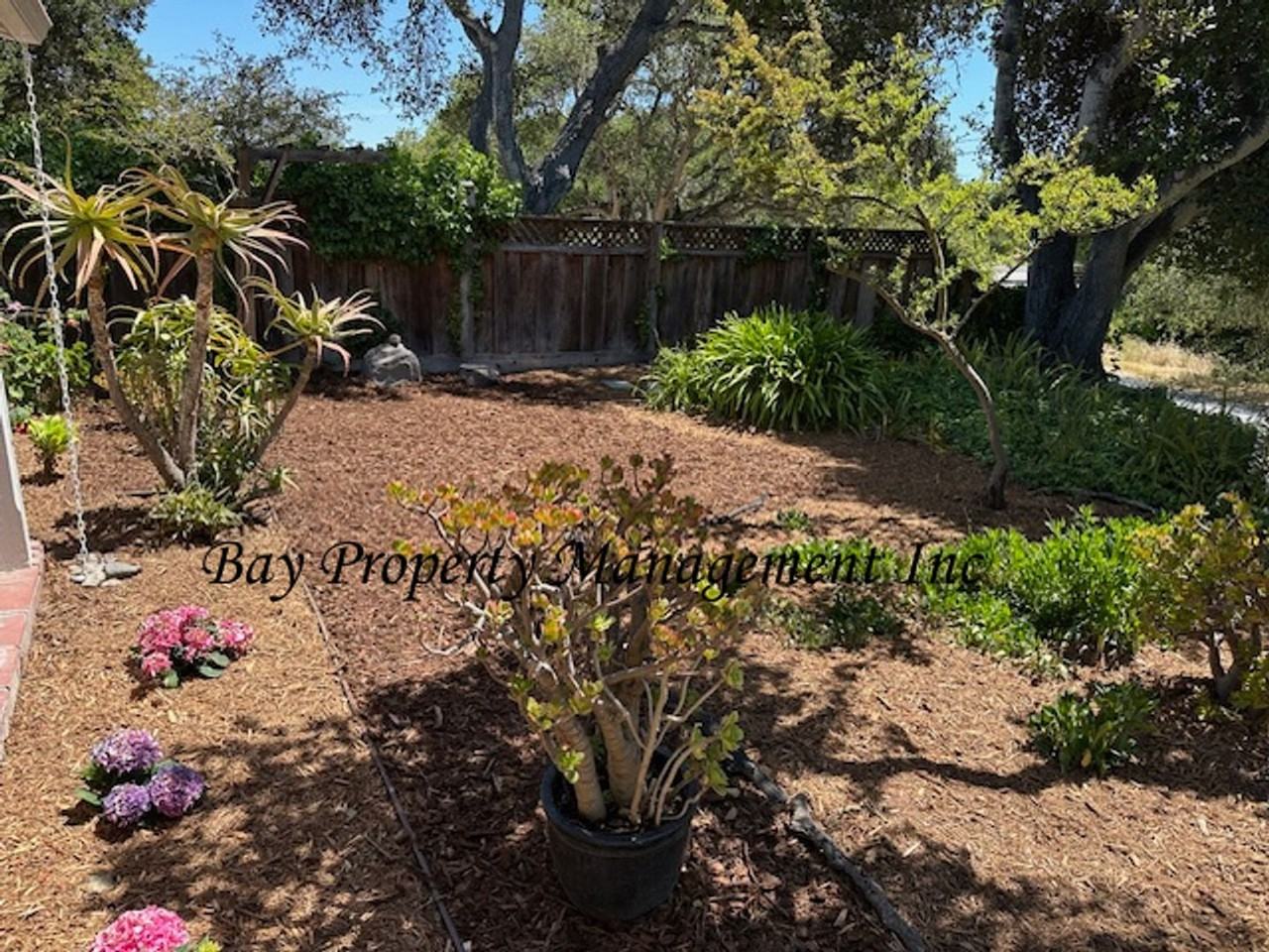 120 Live Oaks Way - Photo 3 of 20