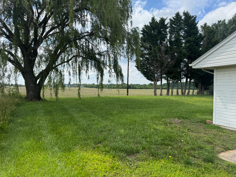 6117 Carpenter Bridge Rd #1 - Photo 4 of 20