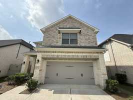 featured image of 10534 Wild Chives