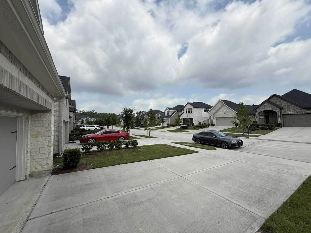 10534 Wild Chives - Photo 2 of 46