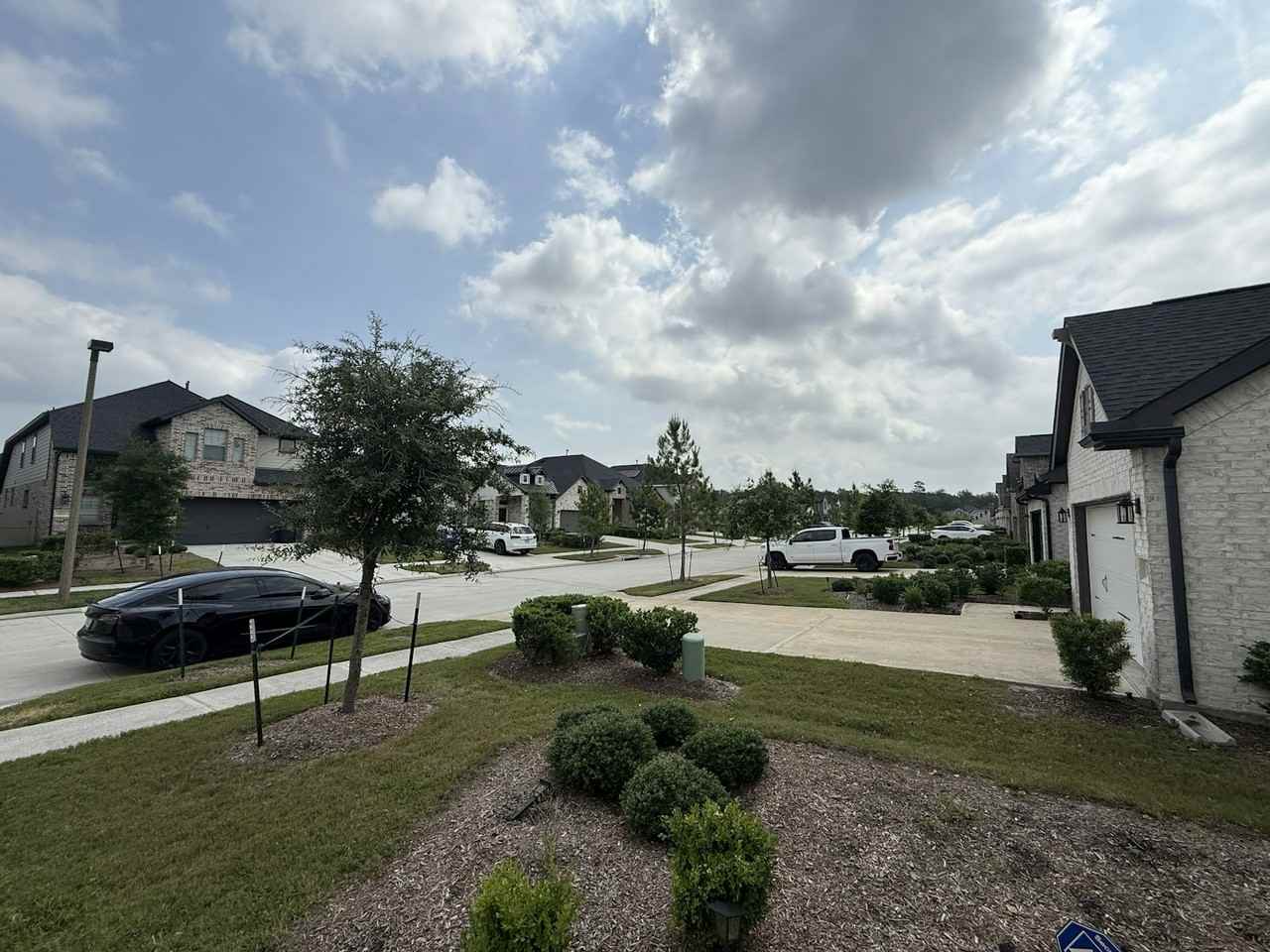 10534 Wild Chives - Photo 3 of 46