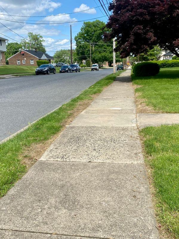1632 W Greenleaf St - Photo 2 of 21