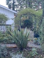 featured image of 130 Undisclosed (1)