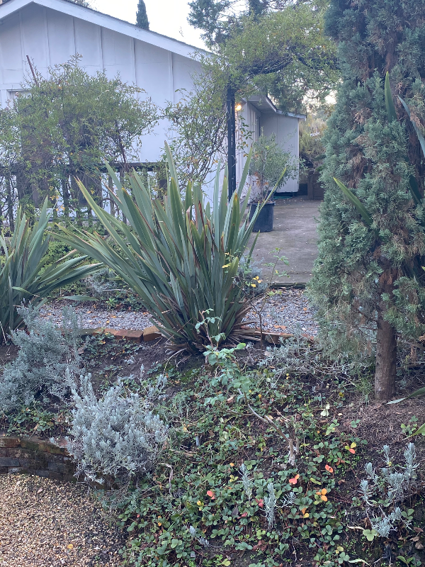 130 Undisclosed (1) - Photo 4 of 13