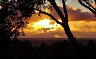 featured image of 515 Red Rose Ln