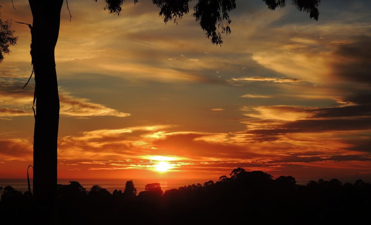 Channel View Apartments - Photo 4 of 18