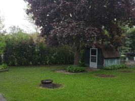 featured image of 1315 College Street