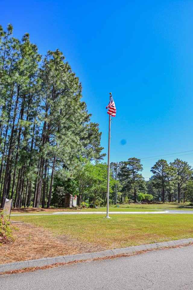 66 Forest Pond - Photo 4 of 37