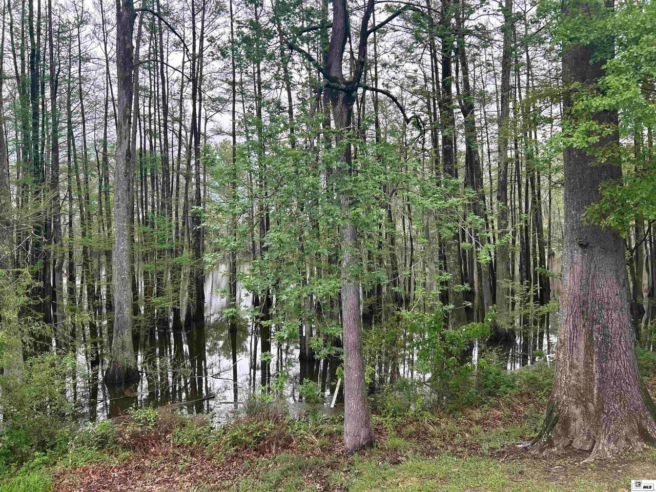 1415 Frenchmans Bend Rd - Photo 5 of 45