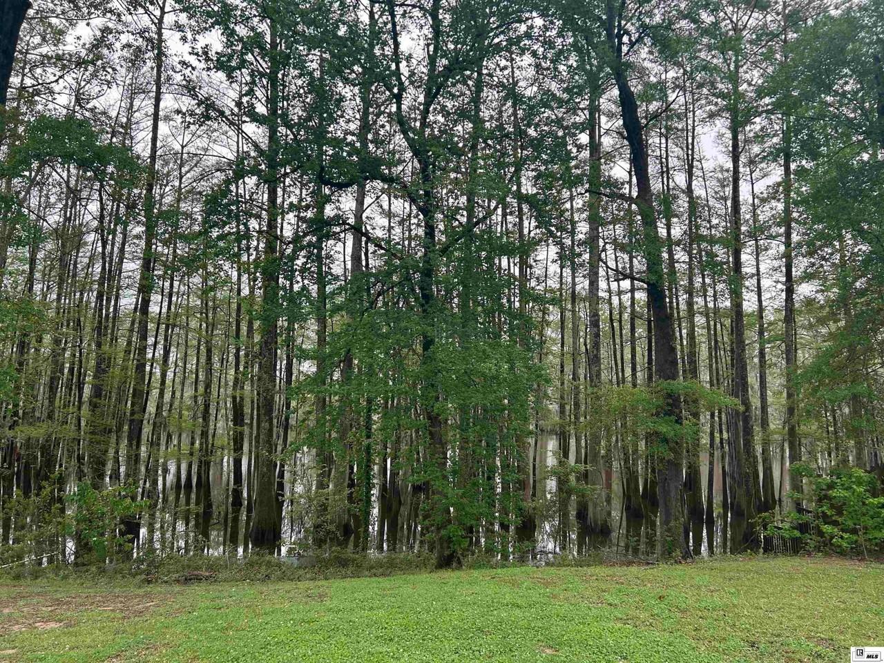 1415 Frenchmans Bend Rd - Photo 7 of 45