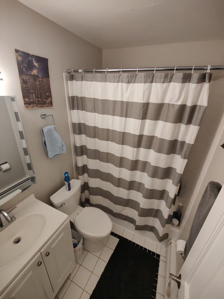 2401 Walnut St - Photo 5 of 16