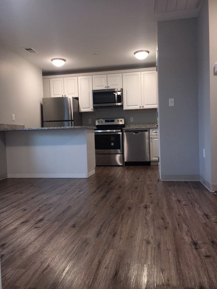 12 Florence Street - Photo 3 of 50