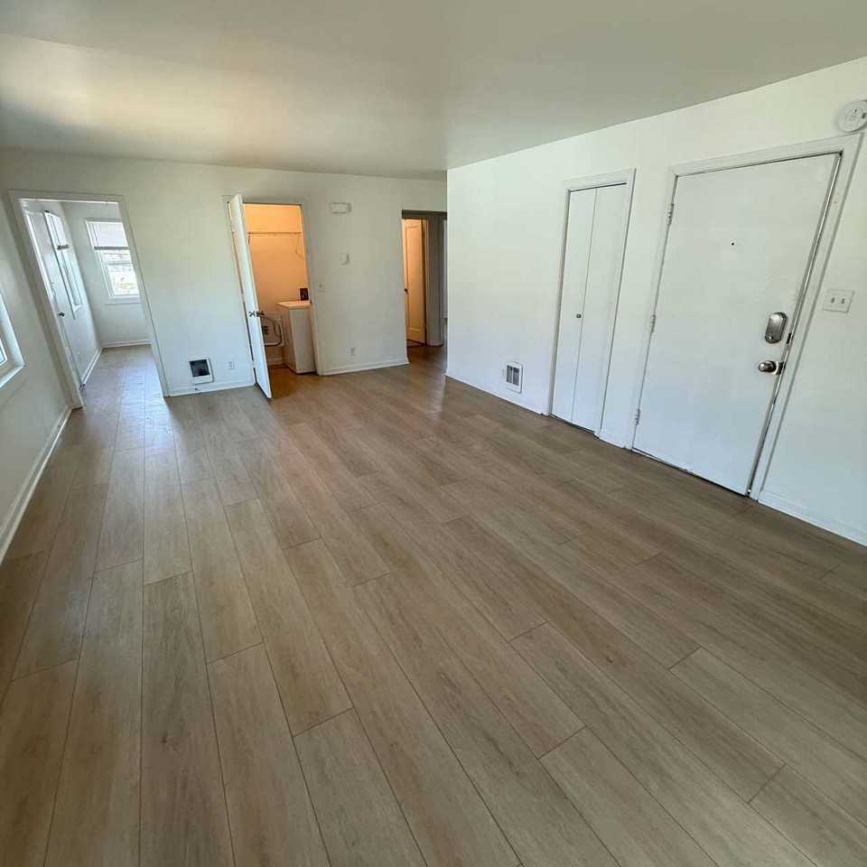 Webster - Photo 3 of 31