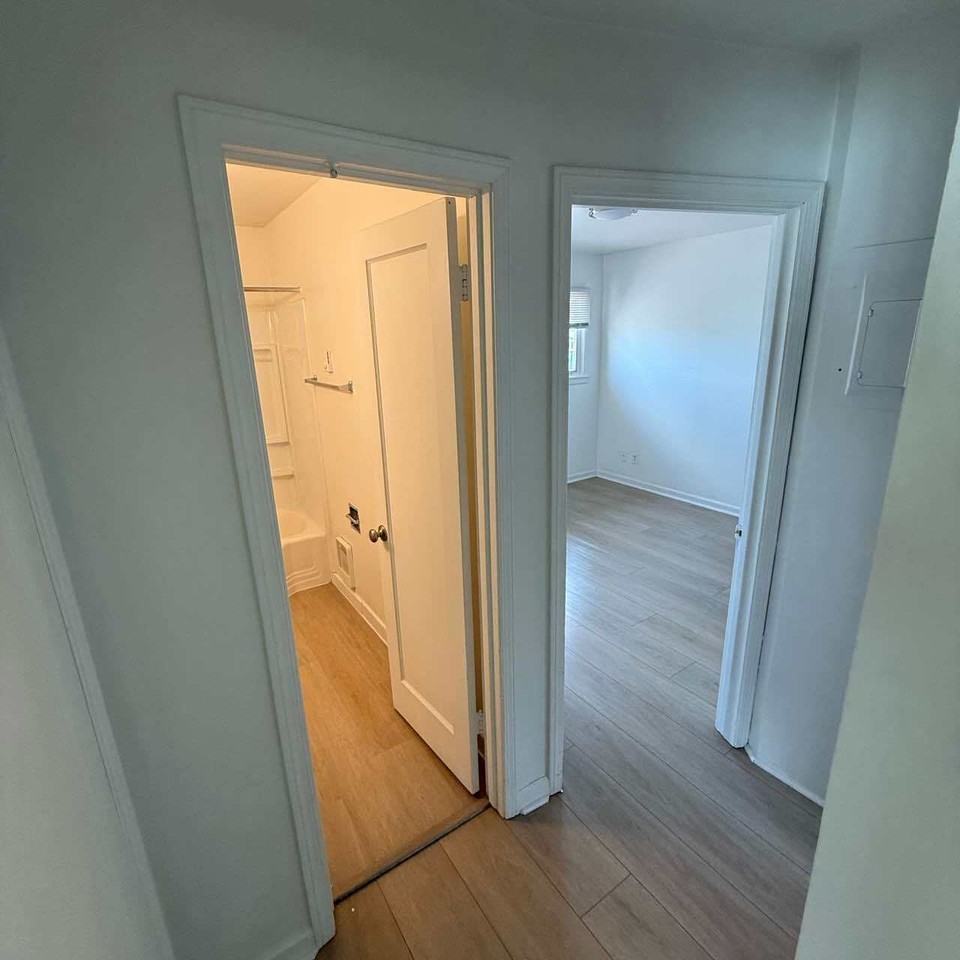 Webster - Photo 7 of 31