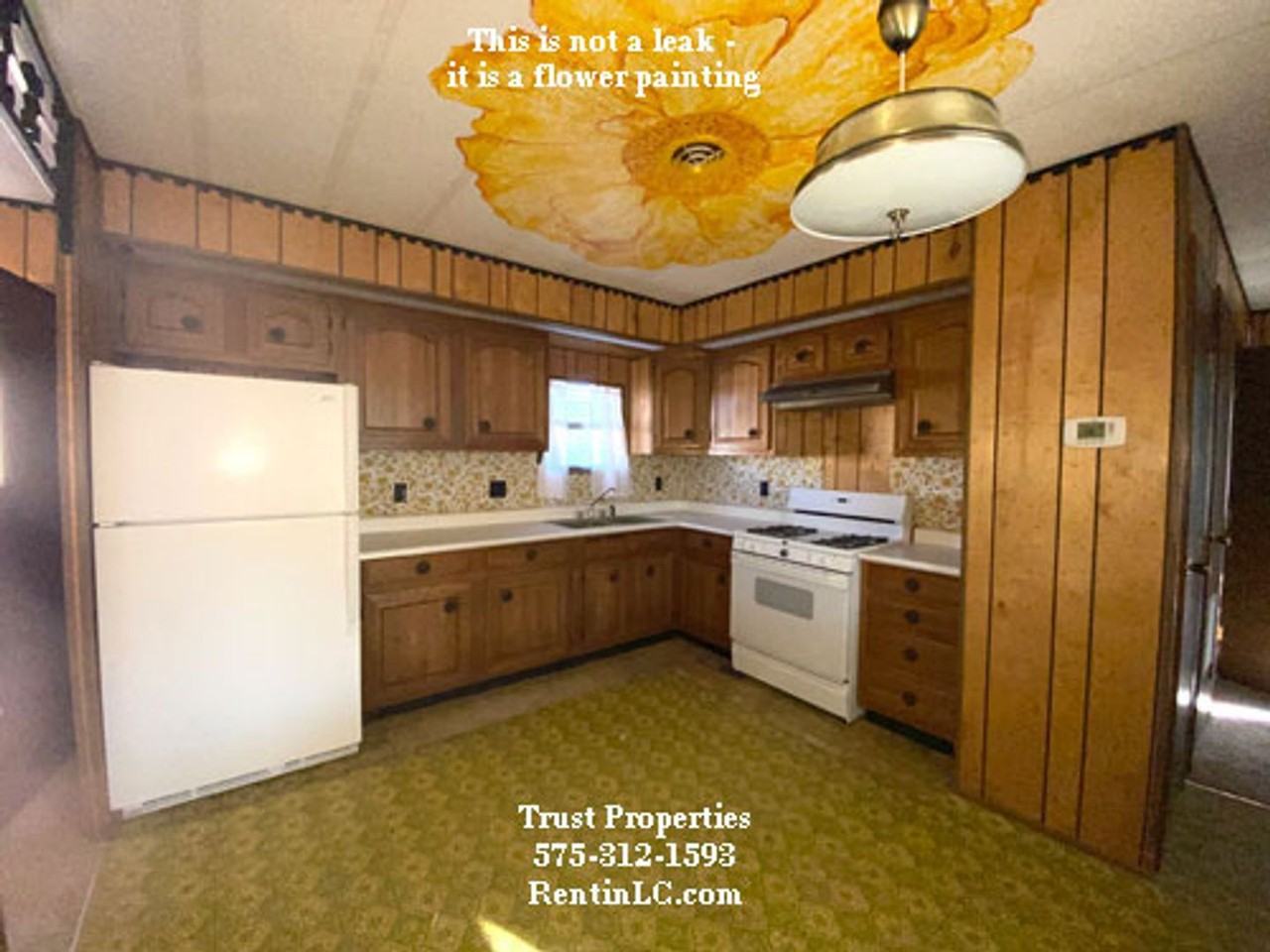 244 Mule Deer Dr - Photo 4 of 8