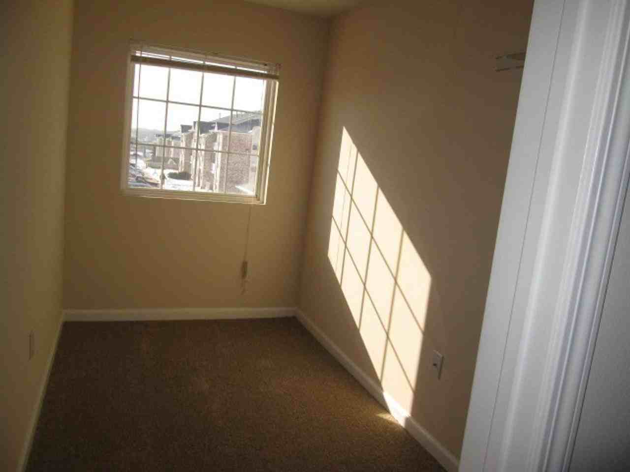 Hillsborough Pointe Apartments - Photo 3 of 50