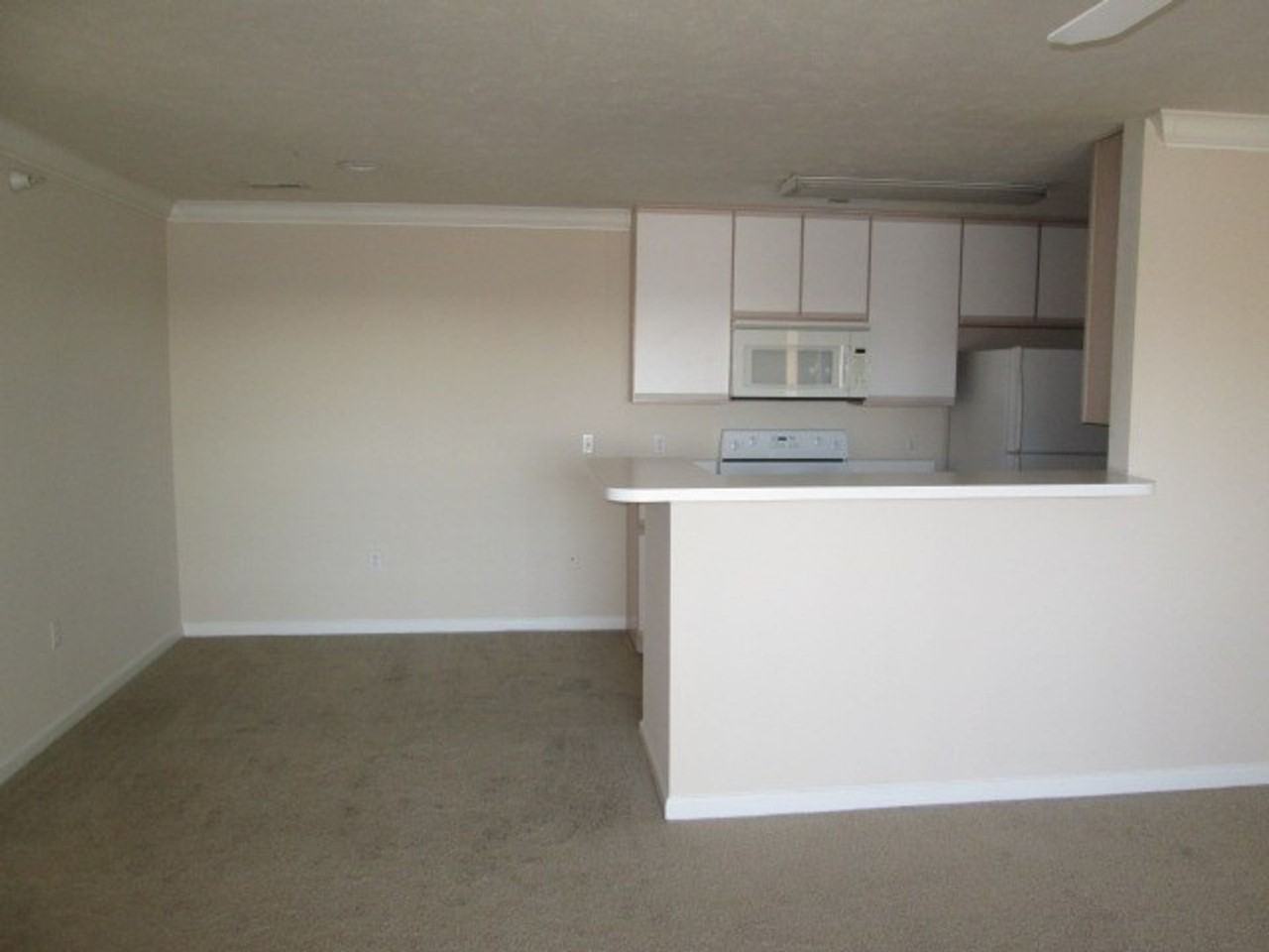 Hillsborough Pointe Apartments - Photo 6 of 50