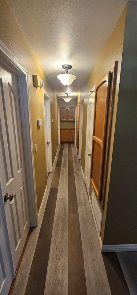 320 Vista Street - Photo 7 of 17