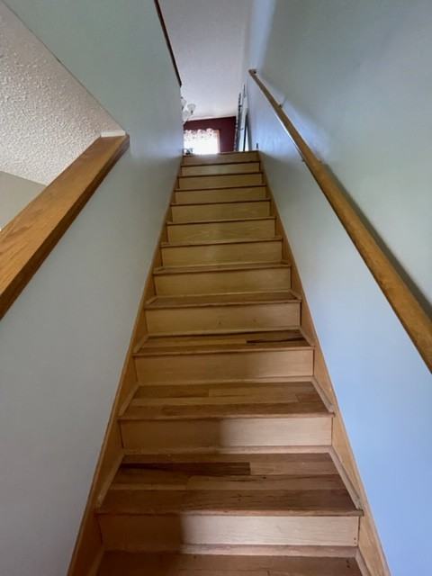 520 Tanager Path #520 - Photo 2 of 14