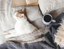 featured image of 111 College Hill St