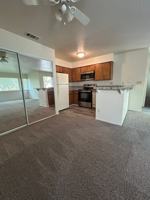 featured image of Modesto Avenue