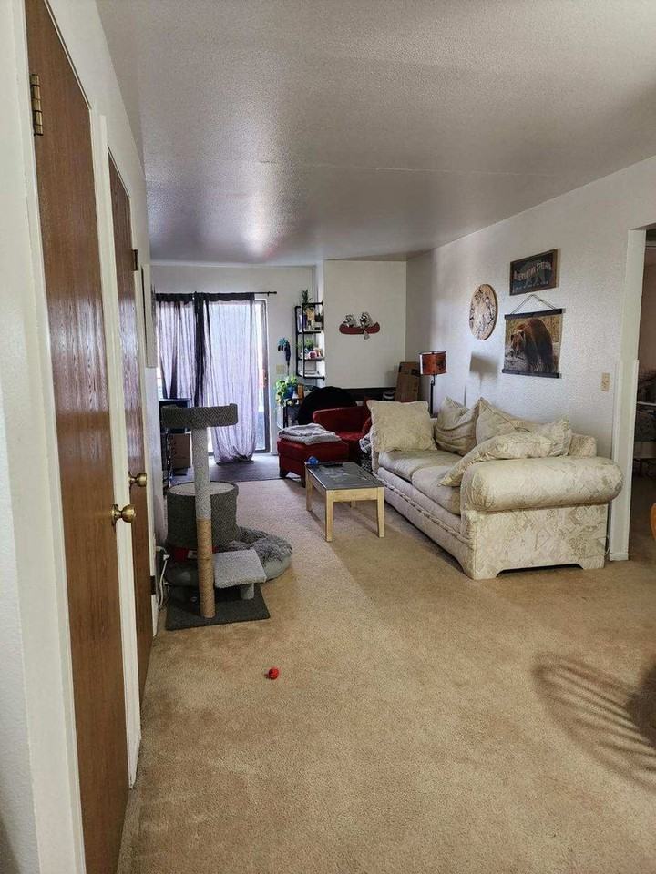 1105 Cottonwood Dr - Photo 4 of 18