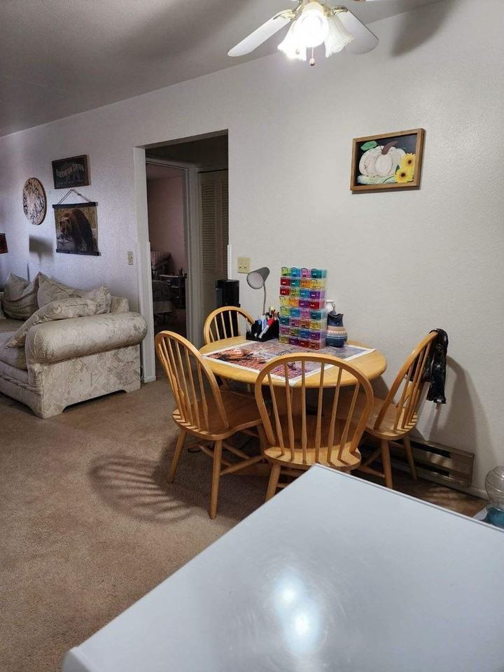 1105 Cottonwood Dr - Photo 5 of 18