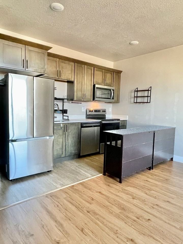 2101 N Main St #303 - Photo 4 of 16