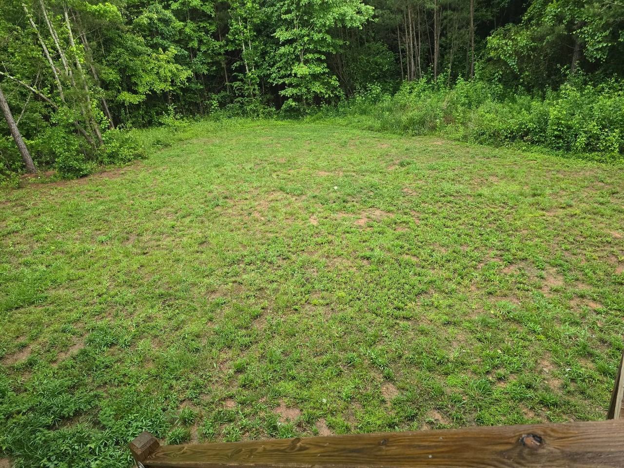 3633 Reed Rd - Photo 2 of 18