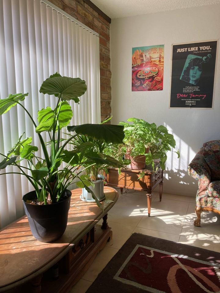 1536 East Blacklidge Drive - Photo 2 of 9