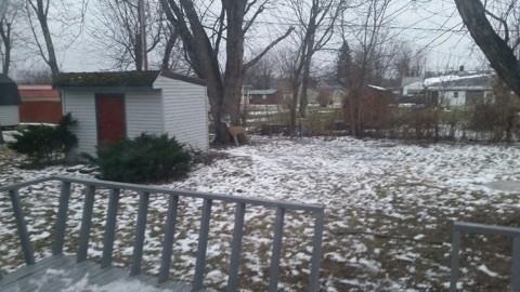 10 N Mcdonald St - Photo 3 of 5