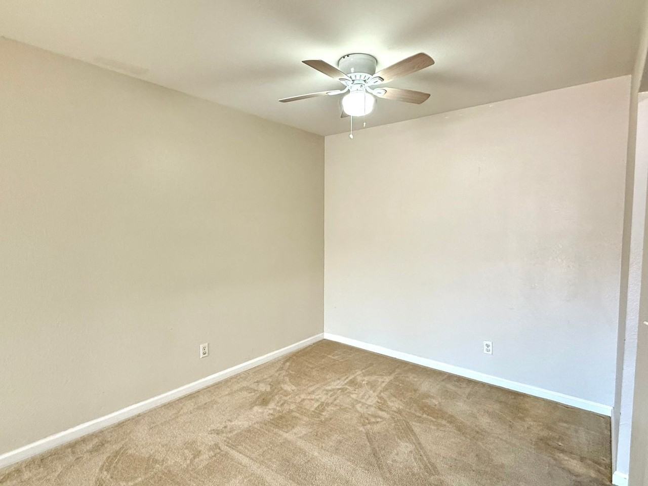 39887 Cedar Blvd - Photo 5 of 19