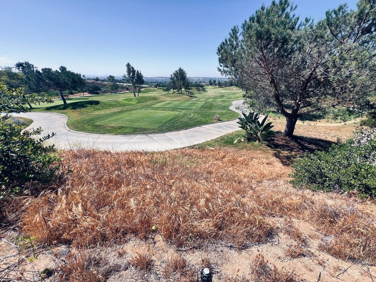 1013 Straightaway Court - Photo 7 of 37