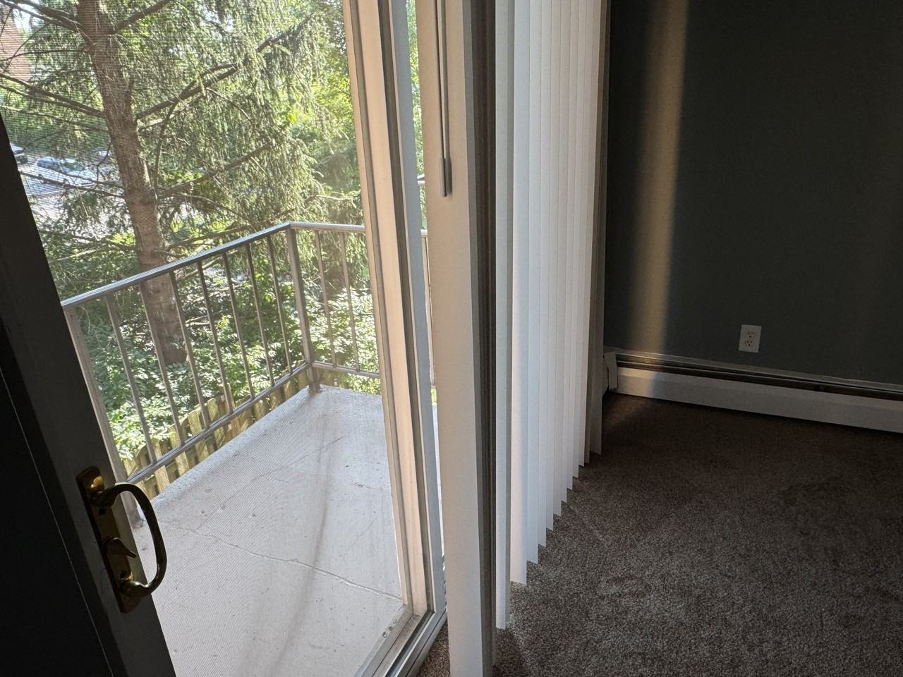 Cheviot Apartments 6273 - Photo 5 of 11