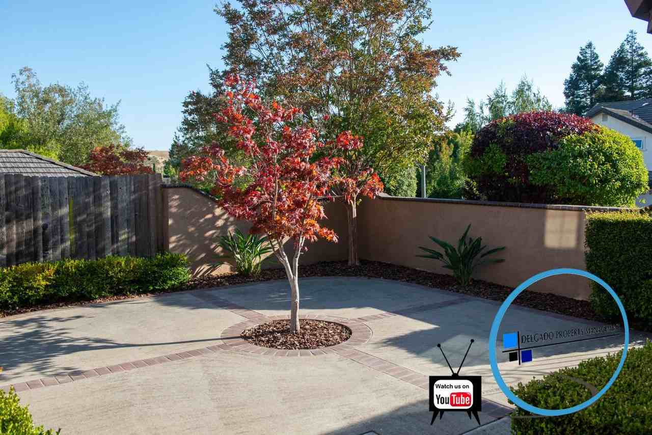 686 Snapdragon Pl - Photo 5 of 39