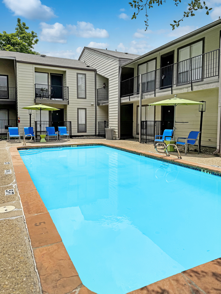 Turtle Dove 1 - Photo 2 of 50